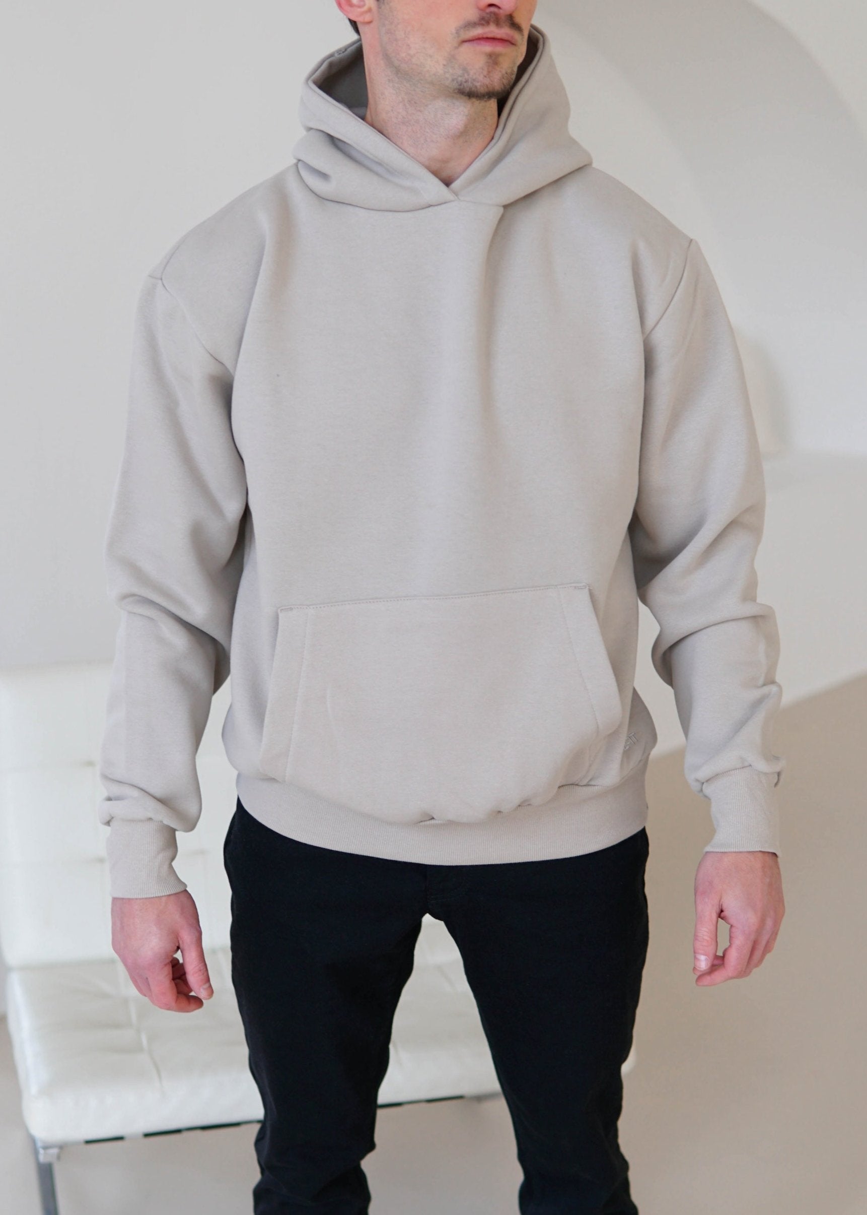 Premium Relaxed Hoodie In Stone
