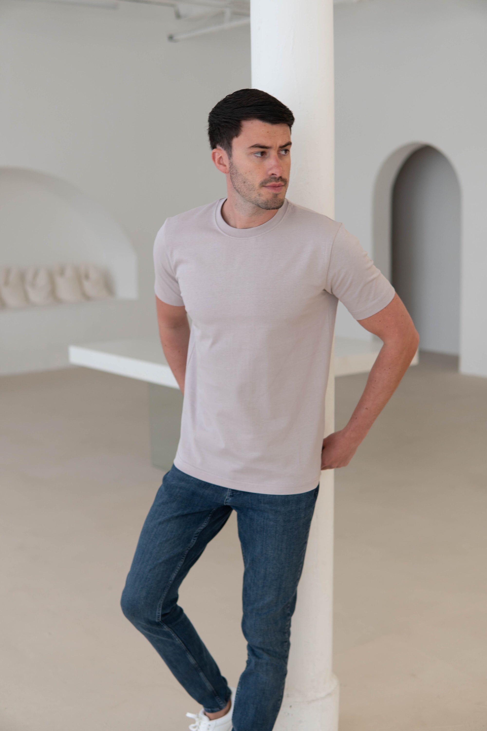 Premium T-Shirt In Stone Taupe