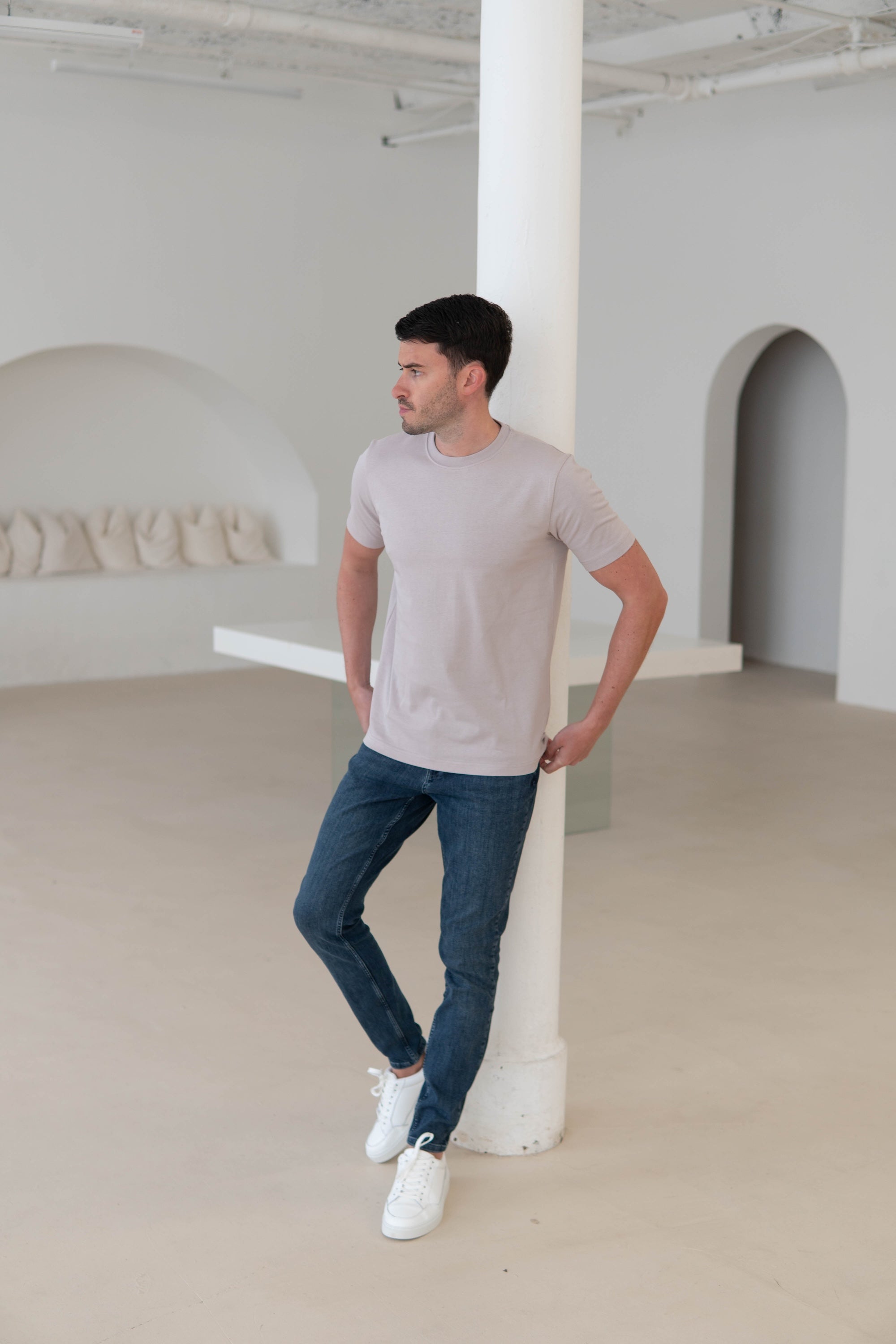 Premium T-Shirt In Stone Taupe