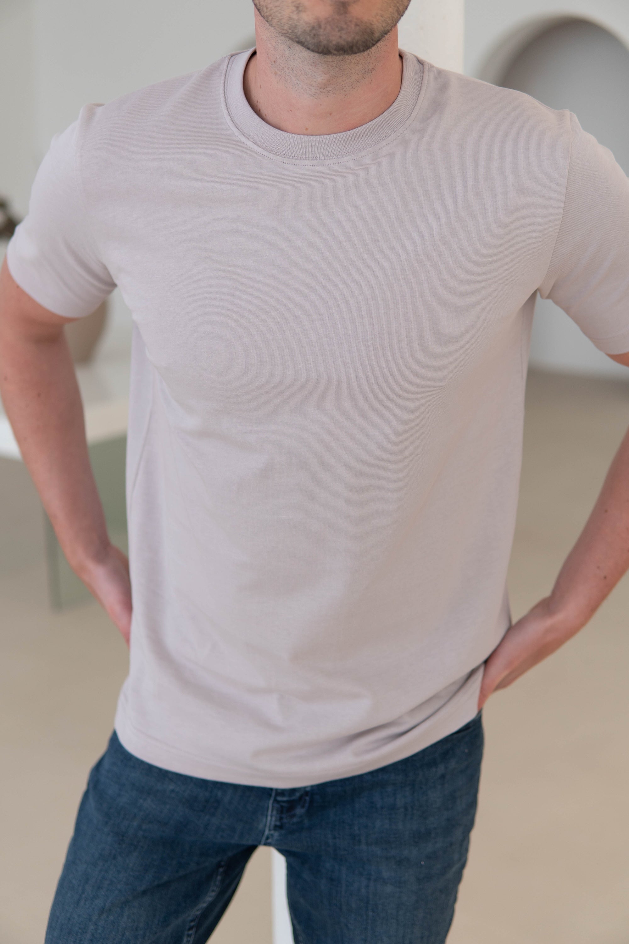 Premium T-Shirt In Stone Taupe