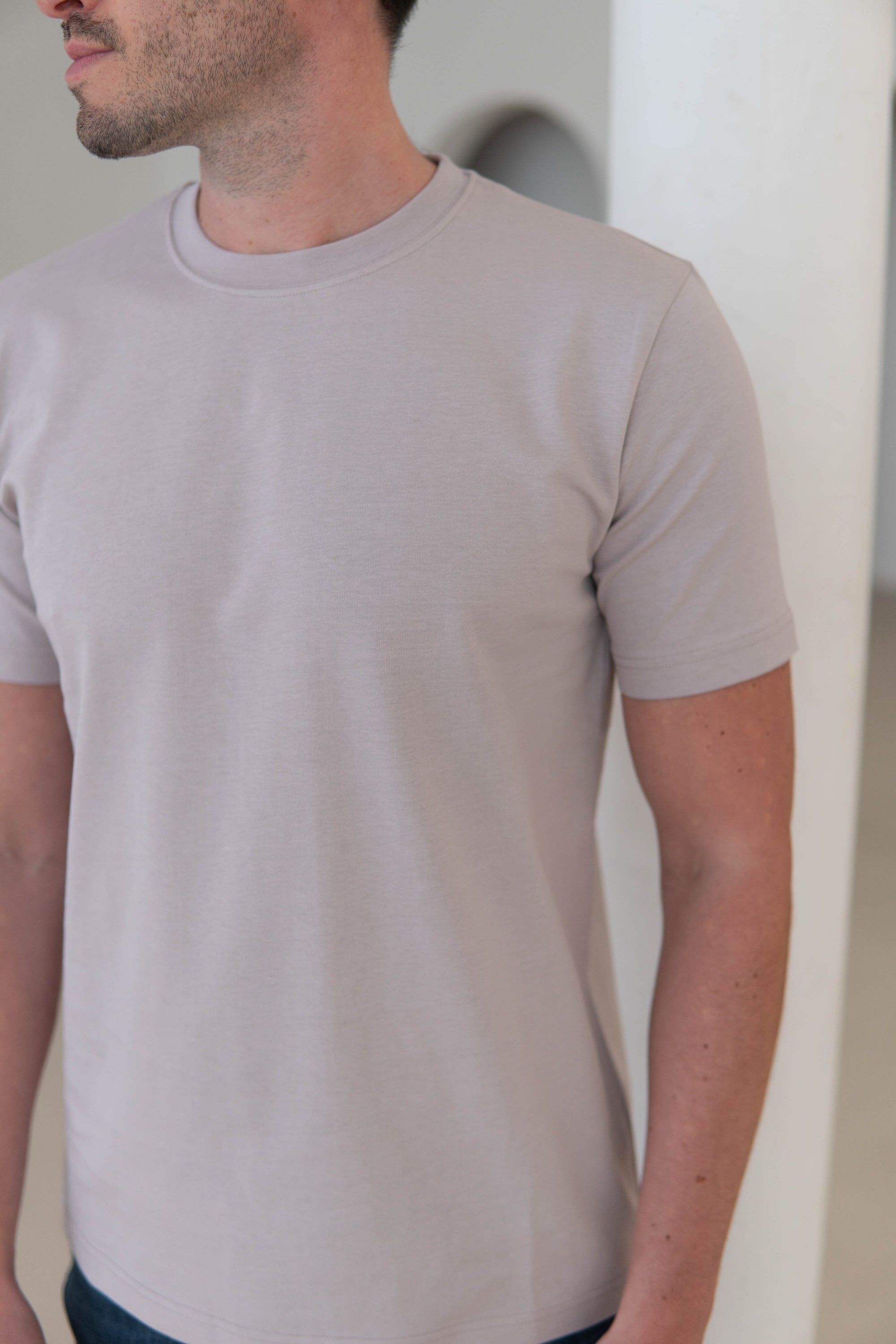 Premium T-Shirt In Stone Taupe