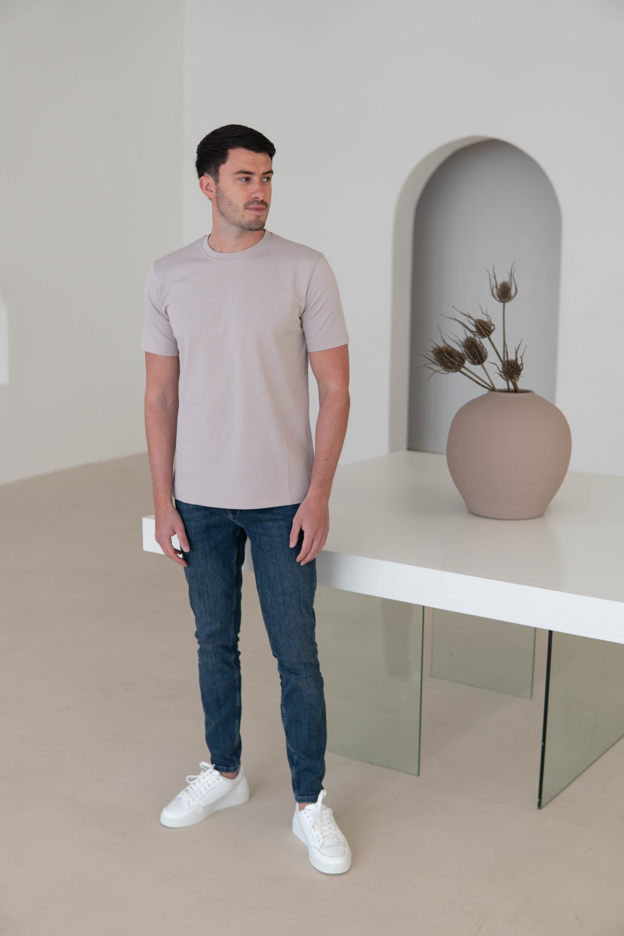 Premium T-Shirt In Stone Taupe